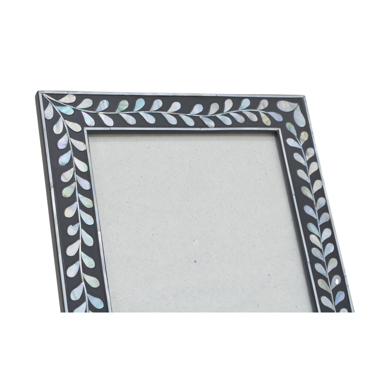 FRAME 8R SHELL VINE BLACK LIMS Legacy Singapore