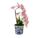 2 ORCHID IN VASE SSC-0002