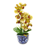 2 ORCHID IN VASE SSC-0002