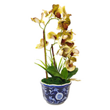 2 ORCHID IN VASE SSC-0002