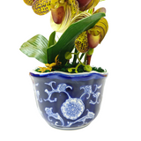 2 ORCHID IN VASE SSC-0002