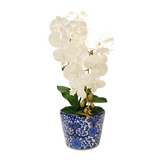 2 ORCHID IN VASE SSC-0002