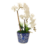 2 ORCHID IN VASE SSC-0002