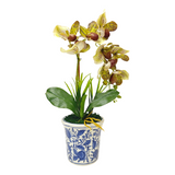 1 ORCHID IN VASE SSC-0003