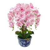 8 ORCHID IN VASE SSC-0001