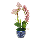 1 ORCHID IN VASE SSC-0003