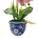 1 ORCHID IN VASE SSC-0003