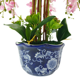 8 ORCHID IN VASE SSC-0001