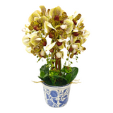 8 ORCHID IN VASE SSC-0001
