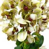 8 ORCHID IN VASE SSC-0001