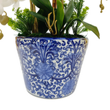 8 ORCHID IN VASE SSC-0001