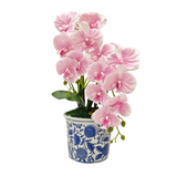 2 ORCHID IN VASE SSC-0002