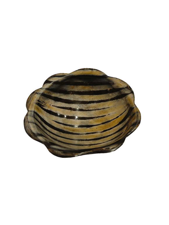 HORN BOWL CARVED 4