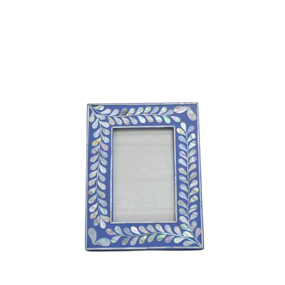 FRAME 4R SHELL VINE BLUE