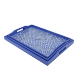 REC TRAY SHELL COIN M BLUE